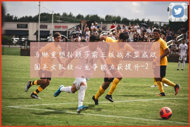 马琳重塑孙颖莎前三板战术显成效国乒女队核心竞争能力获提升