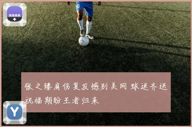 张之臻肩伤复发憾别美网 球迷齐送祝福期盼王者归来