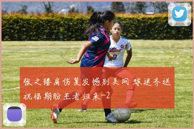 张之臻肩伤复发憾别美网 球迷齐送祝福期盼王者归来