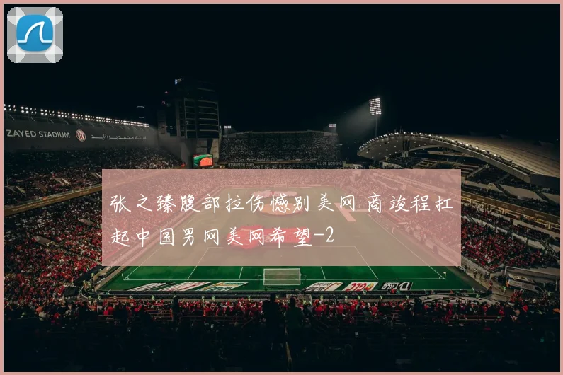 张之臻腹部拉伤憾别美网 商竣程扛起中国男网美网希望