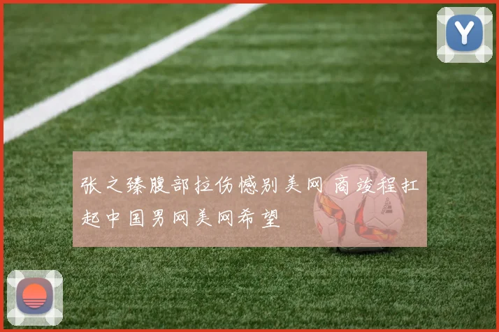 张之臻腹部拉伤憾别美网 商竣程扛起中国男网美网希望